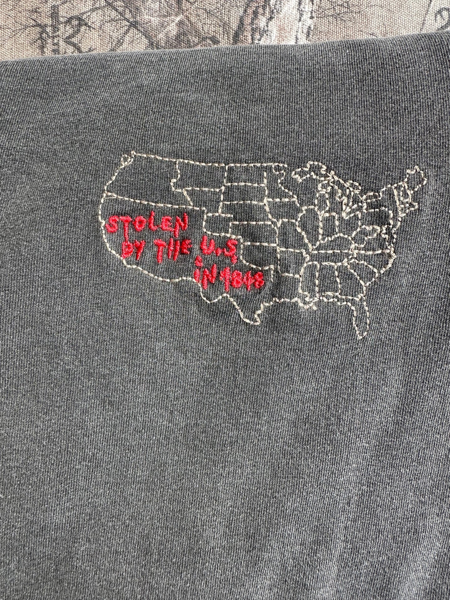 Lost in Mexico Shirt Stolen by the USA in 1848 Shirt