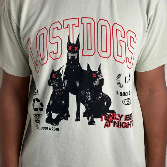 Lost Dogs - TSSLA