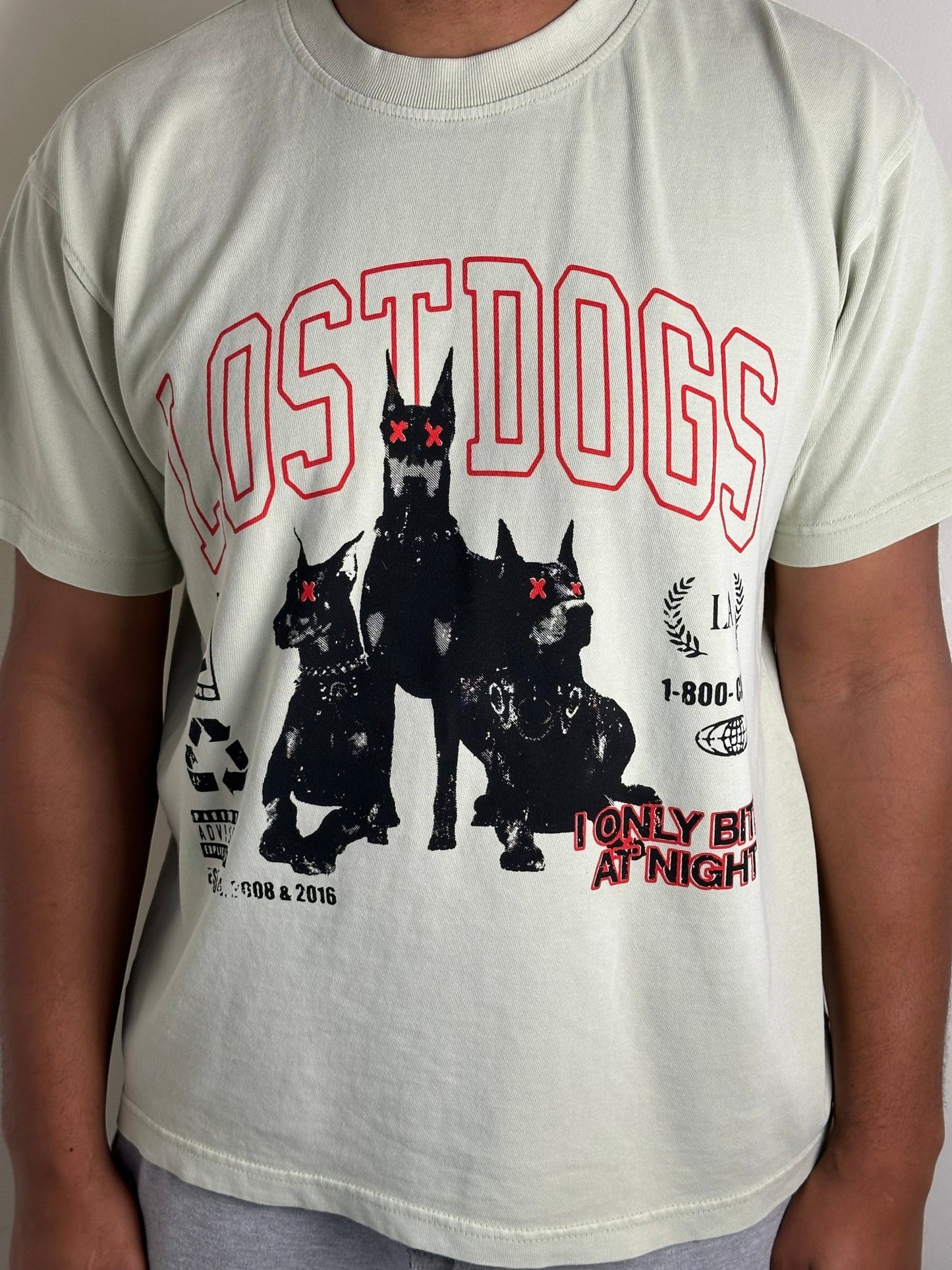 Lost Dogs - TSSLA