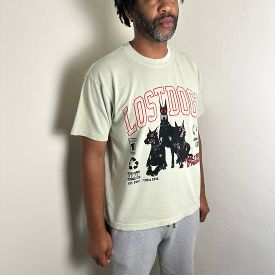 Lost Dogs - TSSLA